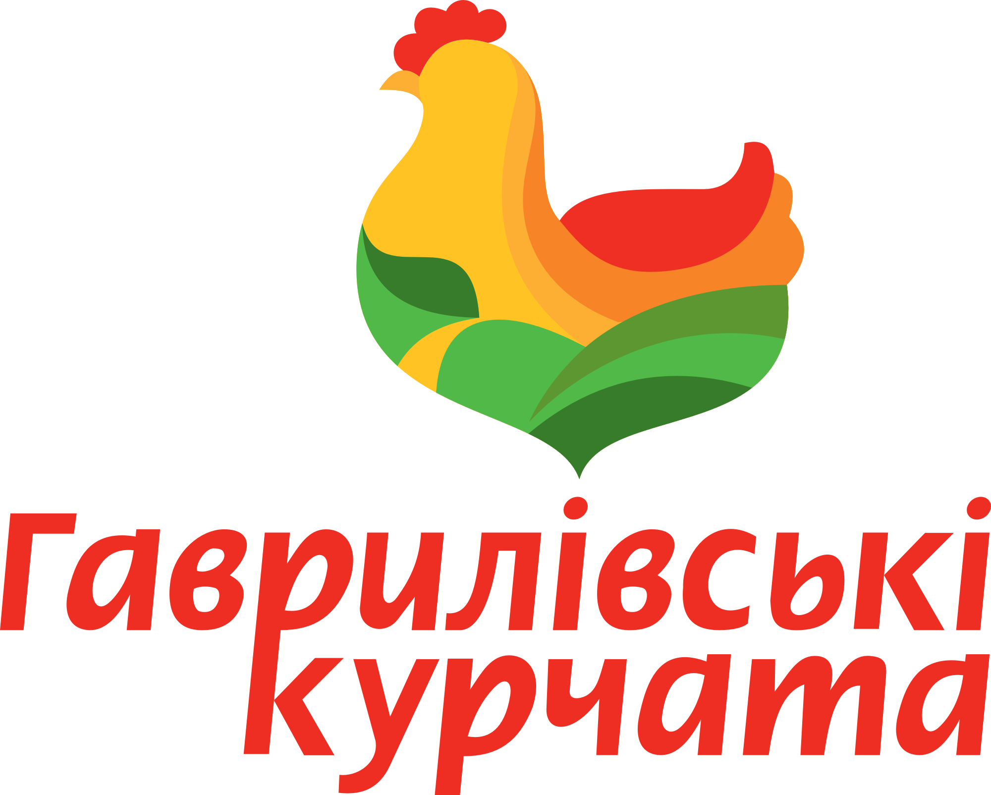 kurcha
